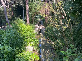 L'hort d'Almenar (Burjassot, L'Horta Nord)